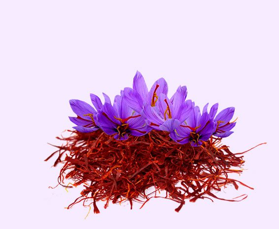 saffron-iran-1